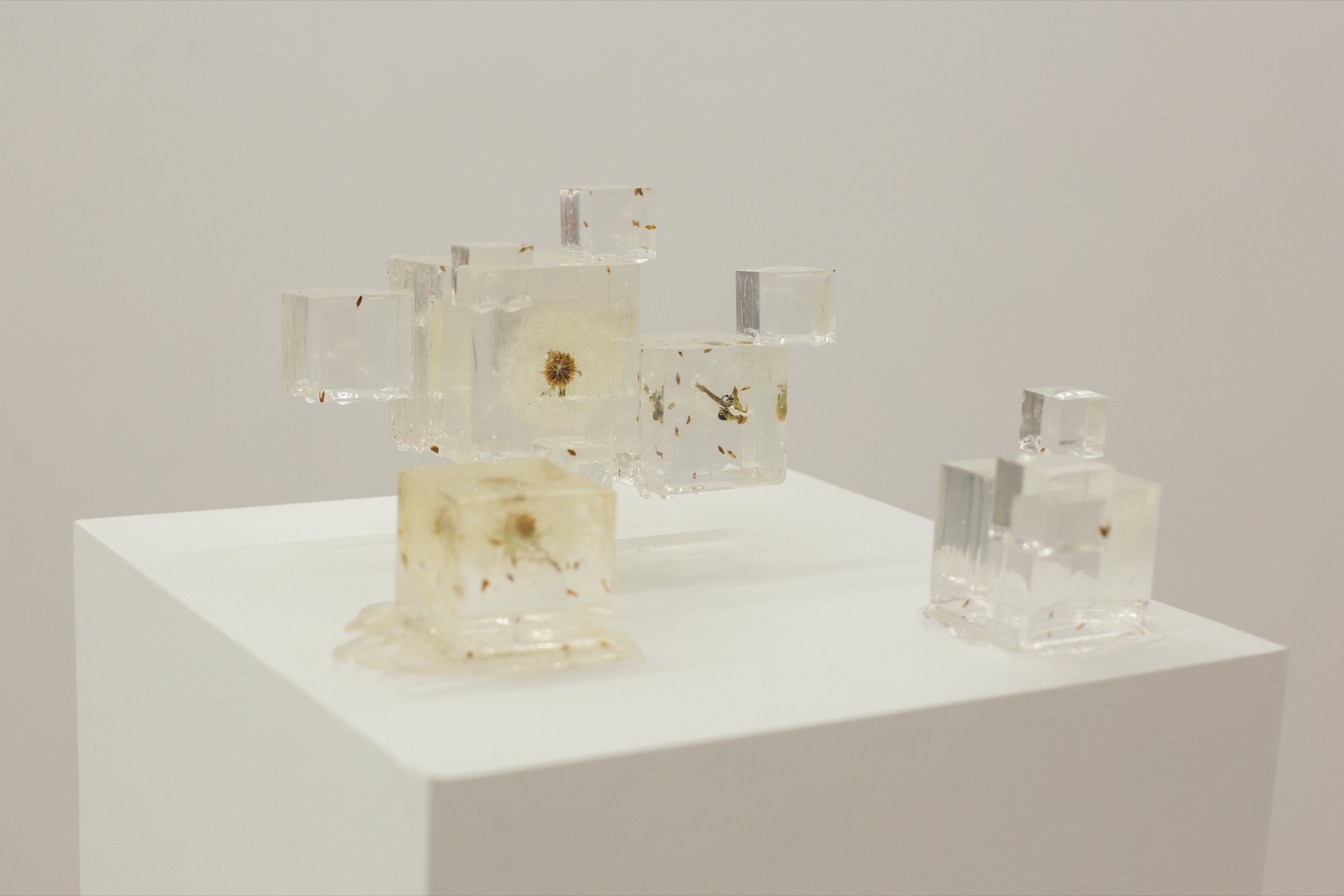 Resin installation at Displacement II