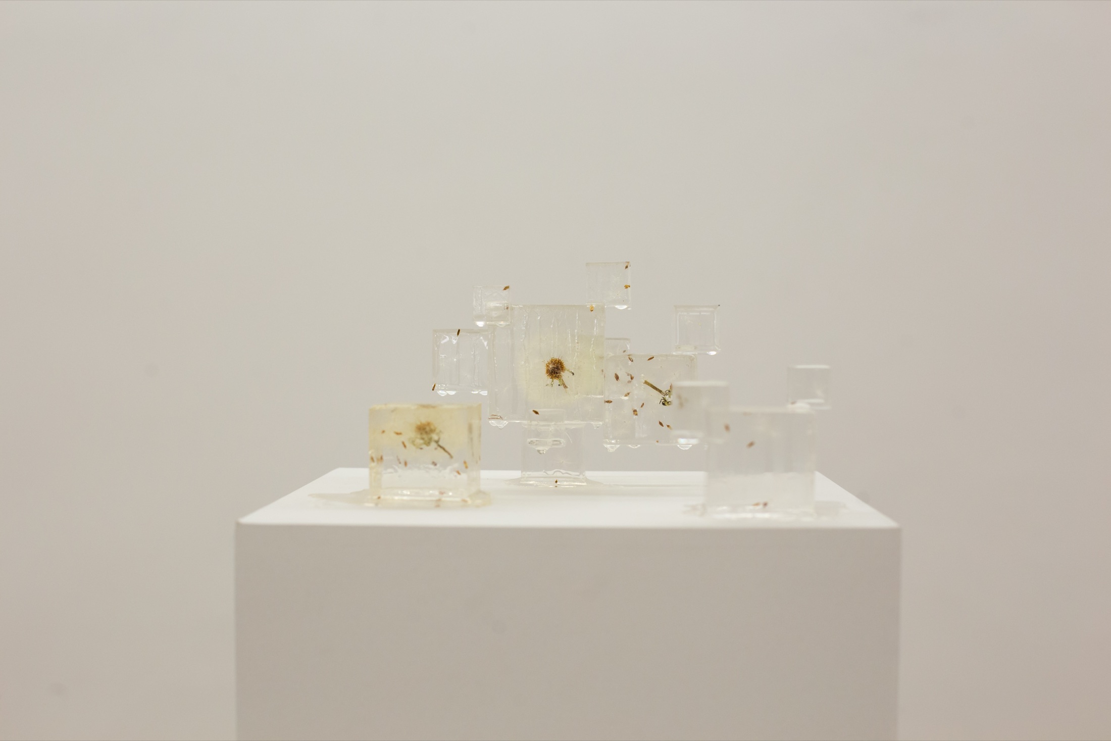 Displacement II installation view in Rio de Janeiro