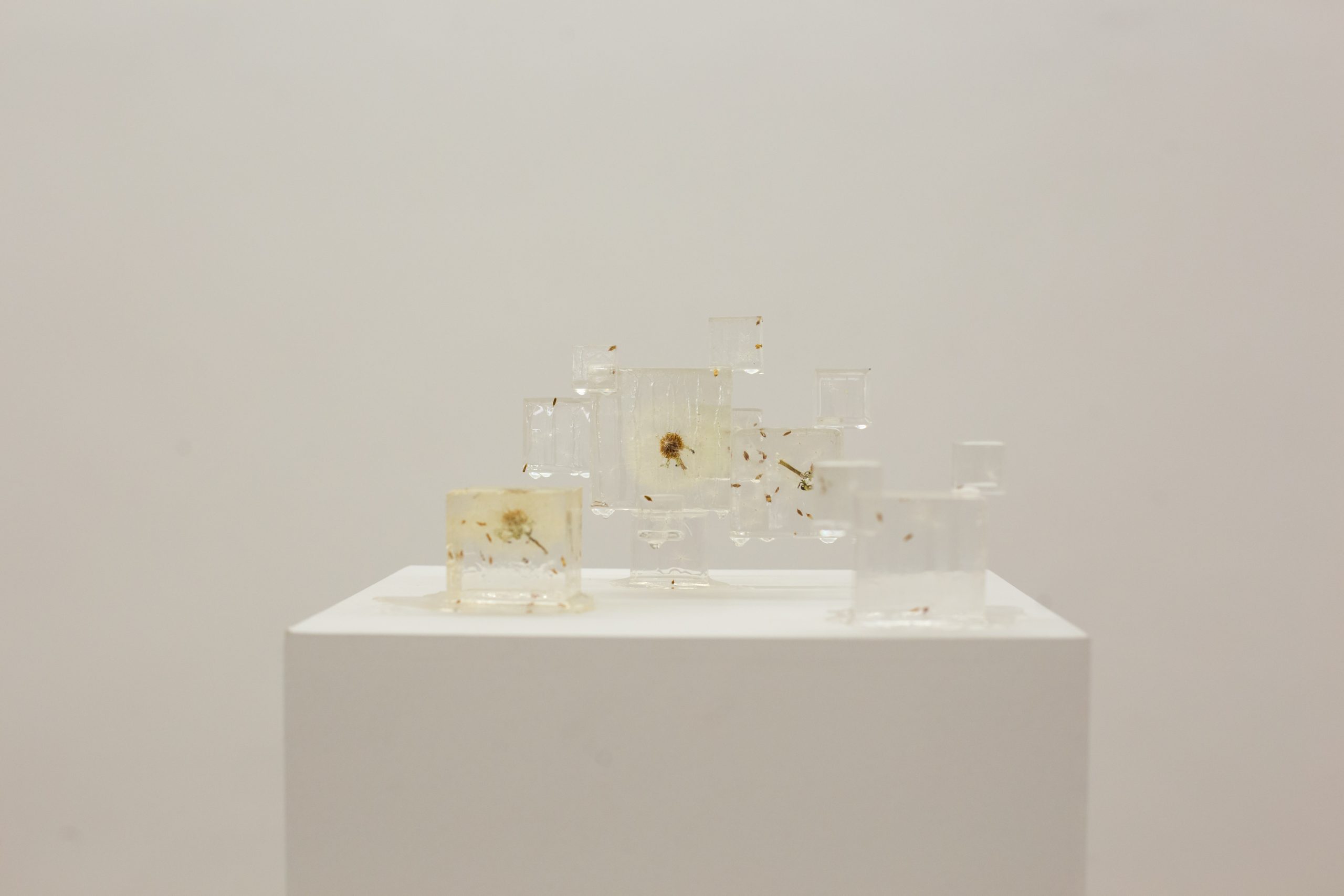 Angela Yanjun Chen in the studio
