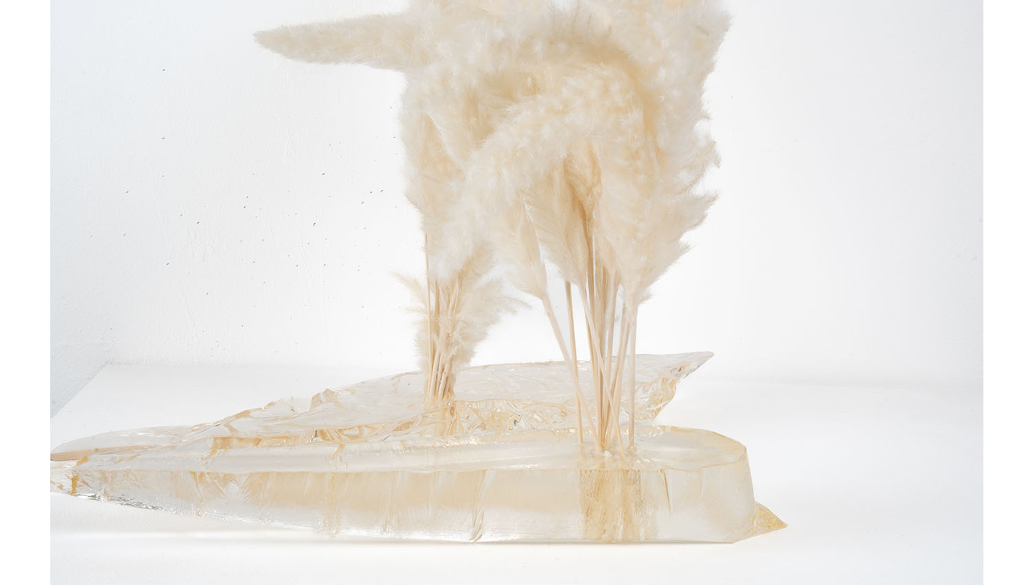 Product 14 (title to confirm) detail 2