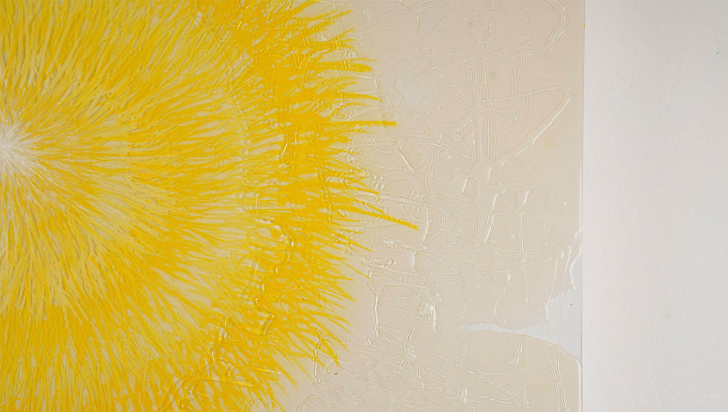 Radiation detail 6